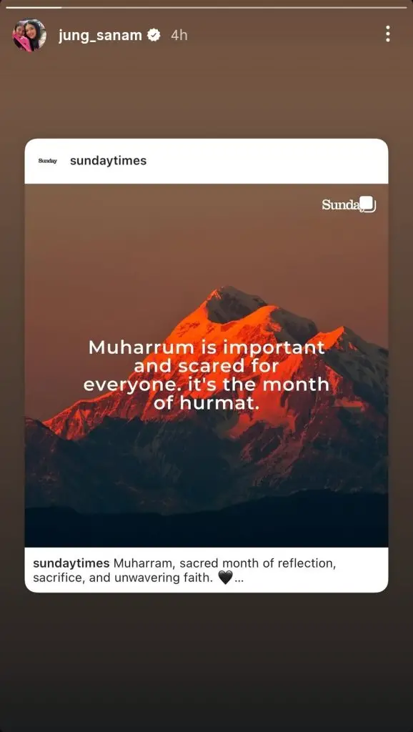 پاکستانی مشہور شخصیات نے 10 ویں محرم کو گہرے غم کے ساتھ مشاہدہ کیا