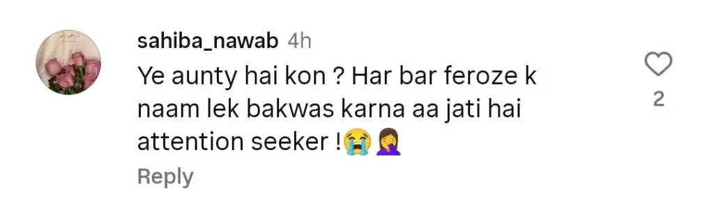 فیروز خان پریشان فین کے خلاف سروت گیلانی کے ریمارکس