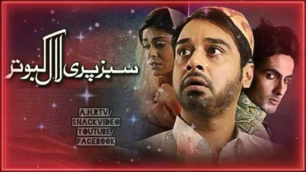 فیسل قریشی ڈرامے جو یہ ظاہر کرتے ہیں کہ وہ استقامت کا بادشاہ ہے