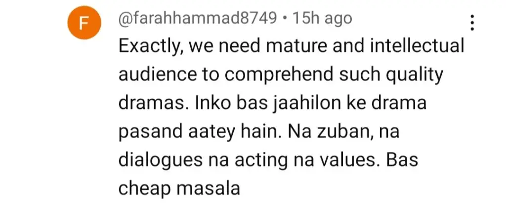 مین مانٹو ناہی ہون - ہٹ یا فلاپ؟ عوامی تقسیم