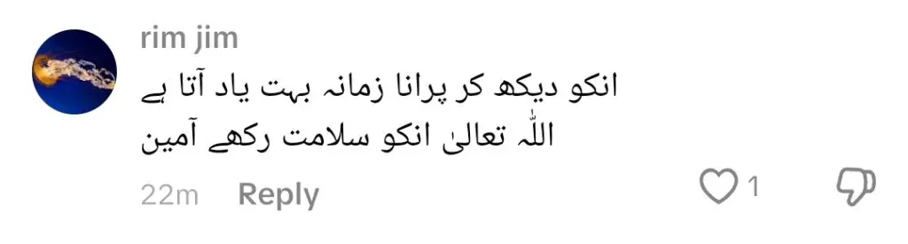 تجربہ کار فلمی اداکار زیبہ کی سالگرہ کی خوبصورت خواہش شبنم کے لئے