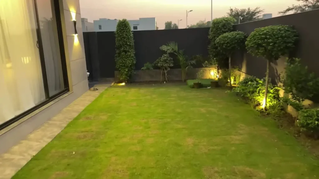 ڈکی بھائی کے پرتعیش خوابوں کا گھر ایک دھوکہ دہی
