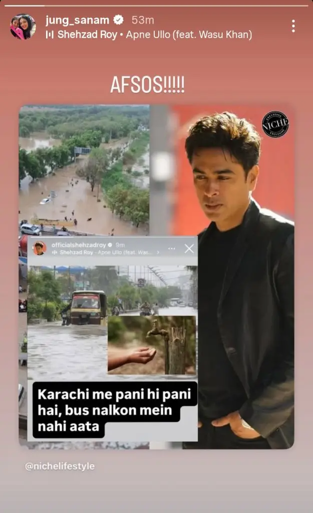 پاکستانی مشہور شخصیات تباہ کن سیلاب سے متعلق اپنے جذبات کا اظہار کرتی ہیں