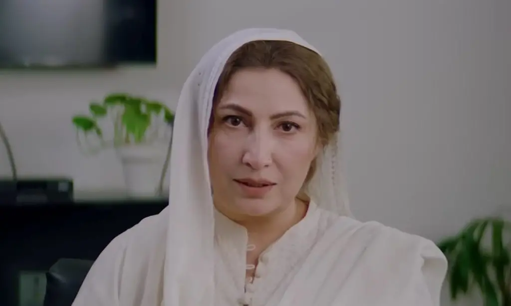 مین مانٹو ناہی ہون قسط 14 - اصل ھلنایک کون ہے؟