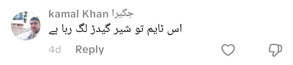 پرانے ڈرامہ کے شائقین سے ڈینش تیمور کی شکل حیرت زدہ ہے