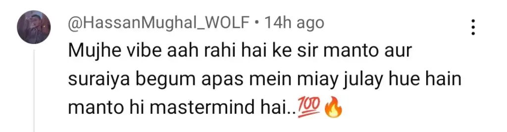 مین مانٹو ناہی ہون قسط 19 - بگ موڑ سامعین کو جھٹکا دیتا ہے