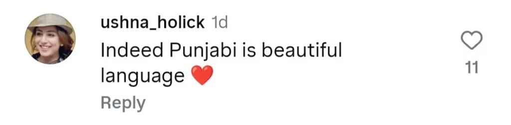 عشنا شاہ نے اپنے پنجابی کی تعریف کی