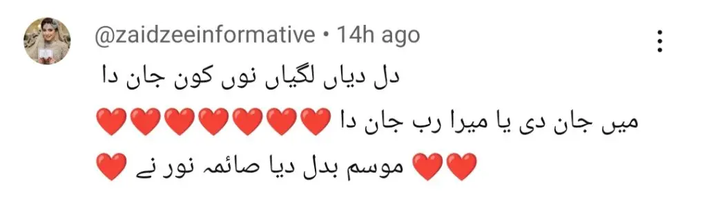 مین مانٹو ناہی ہون قسط 18 - سیما نور کی ماججن خراج تحسین نے دل جیت لیا