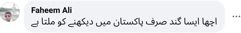 بیٹیاں فلم فادر کی موت کے لئے فیملی ولوگ