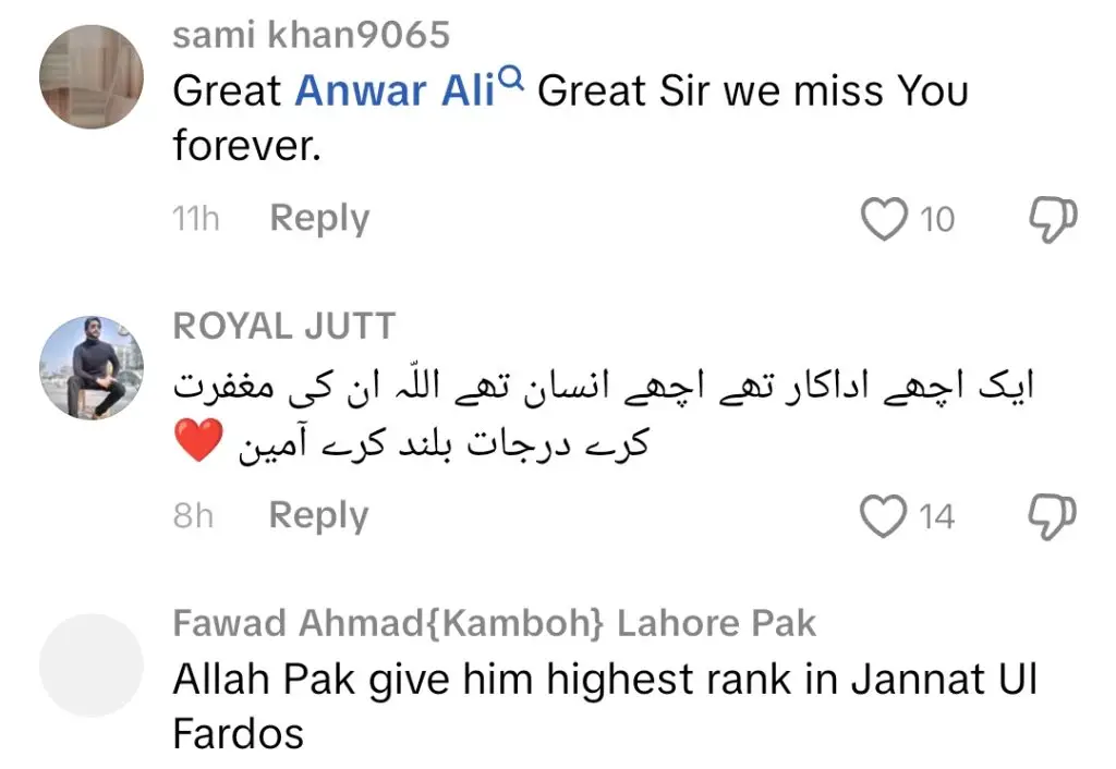 انور علی بیٹا باپ کے آخری لمحات کے بارے میں جذباتی بات کرتے ہیں
