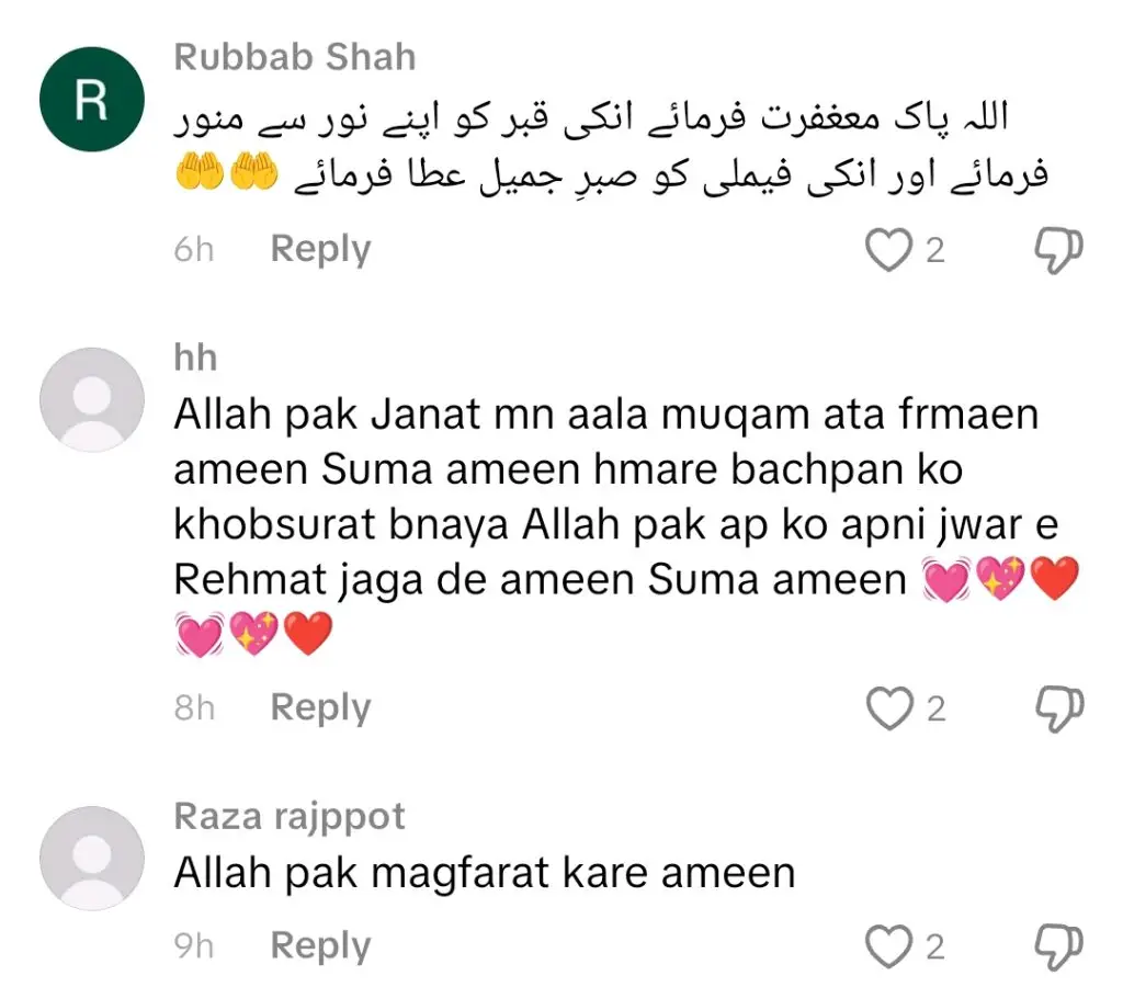 انور علی بیٹا باپ کے آخری لمحات کے بارے میں جذباتی بات کرتے ہیں