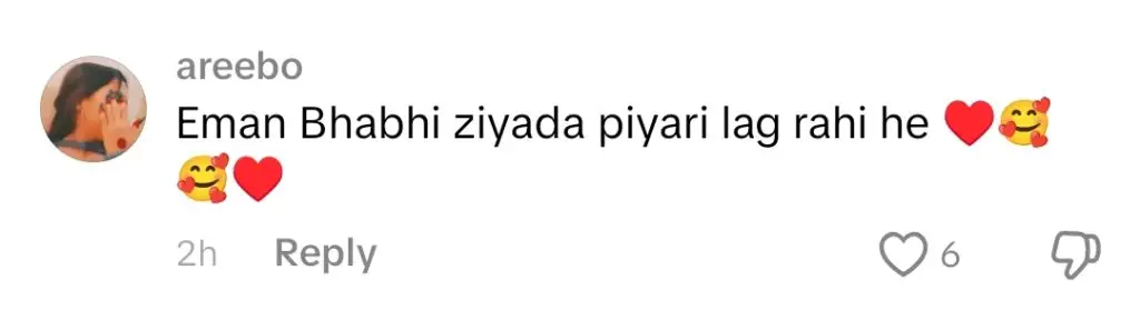 دیان - مہویش حیات نے ایمن راجاب کی کاپی کی