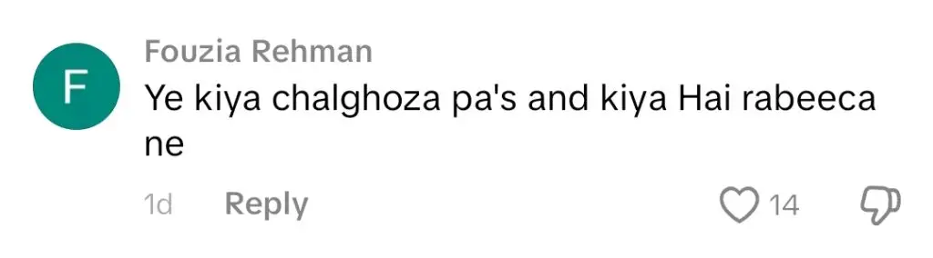 حسین ٹیرین کی مضحکہ خیز ریل کو بڑے پیمانے پر رد عمل ملا