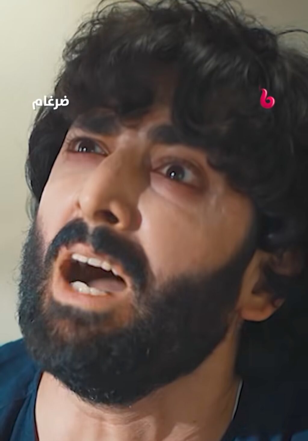 ایم بی سی بالی ووڈ پر عربی زبان میں نشر کرنا