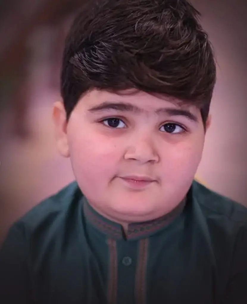 ایری برسی کی تقریبات میں عمیر شاہ کے لئے نڈا یاسیر کی تعزیت نے تنقید کی