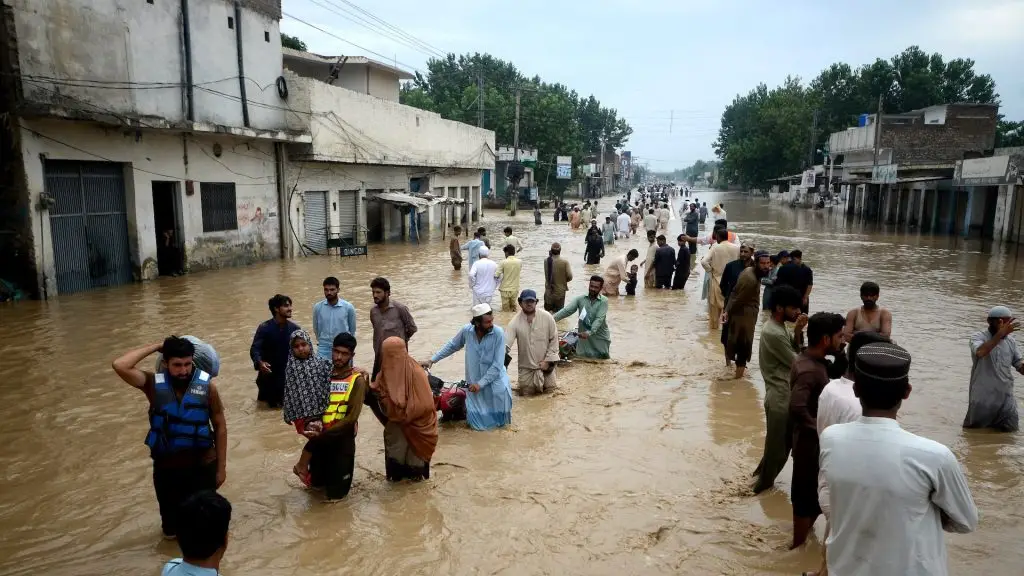 دلجیت دوسنجھ کے سیلاب سے نجات کے اشارے کے بعد جانچ پڑتال کے تحت پاکستانی ستارے