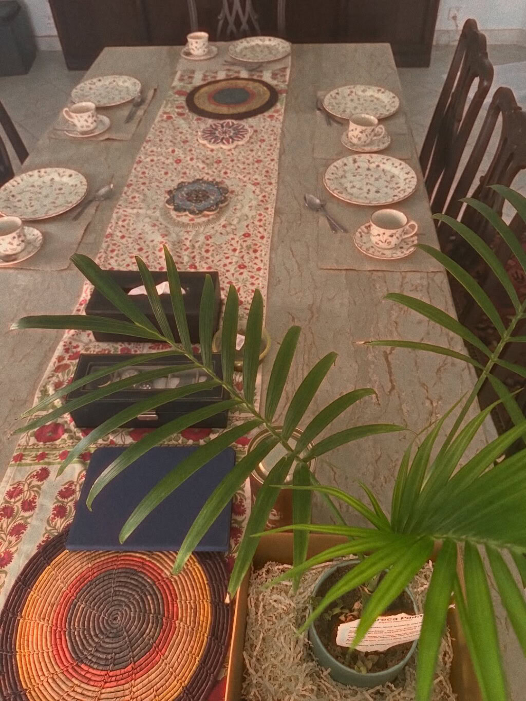 مائرا ہاکین اپنی سالگرہ سسرال کے ساتھ مناتی ہے