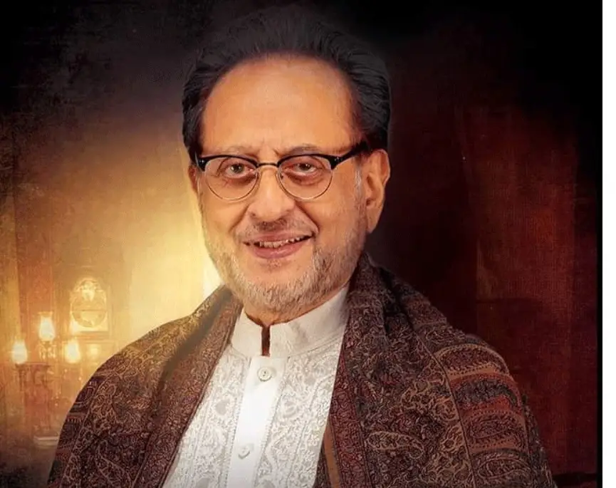 ندیم بیگ کیوں فلموں کو ڈراموں اور سنیما کے زوال کی طرح محسوس ہوتا ہے