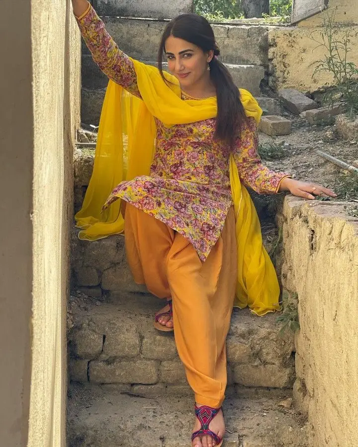 عشنا شاہ نے اپنے پنجابی کی تعریف کی