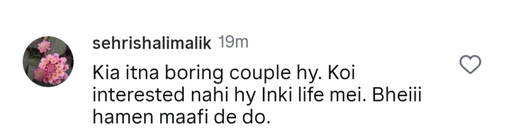 طلاق کی افواہوں کے درمیان ثنا جاوید اور شعیب ملک کی ویڈیو