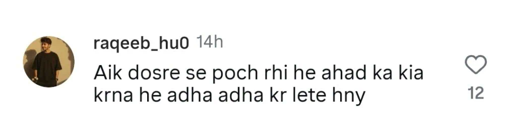 رامشا خان اور ڈینیئر کے دوبارہ اتحاد کو ملا جلا ردعمل ملتا ہے