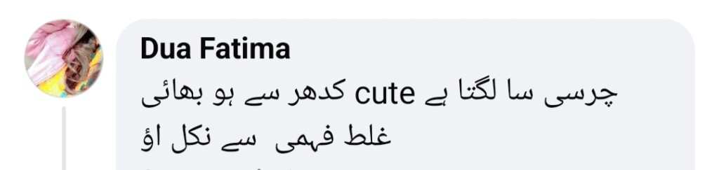 طلاق کی افواہوں کے درمیان ثنا جاوید اور شعیب ملک کی ویڈیو