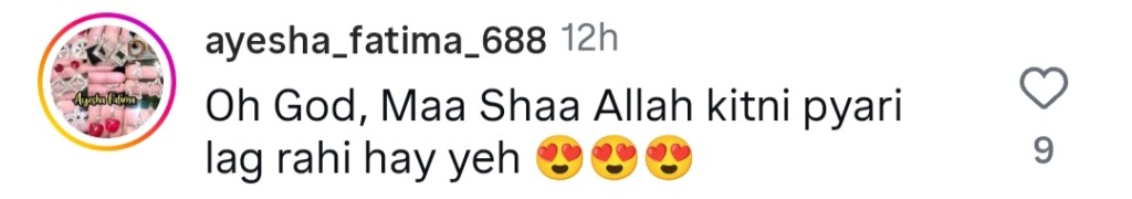 فالک شبیر نے شیر فائنل سے سب سے خوبصورت بی ٹی ایس شیئر کیے ہیں