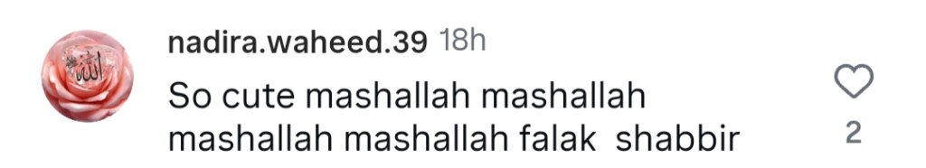 فالک شبیر نے شیر فائنل سے سب سے خوبصورت بی ٹی ایس شیئر کیے ہیں