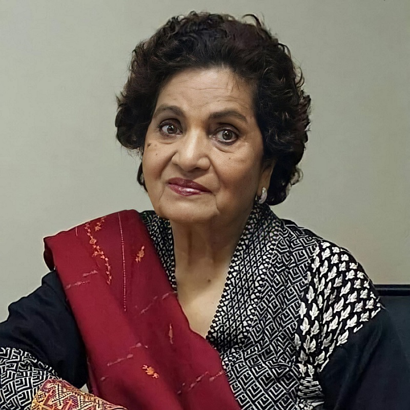 جما تقیم کامیابی اور پاکستانی ڈراموں پر امینا خان جما تقیم کامیابی اور پاکستانی ڈراموں پر امینا خان