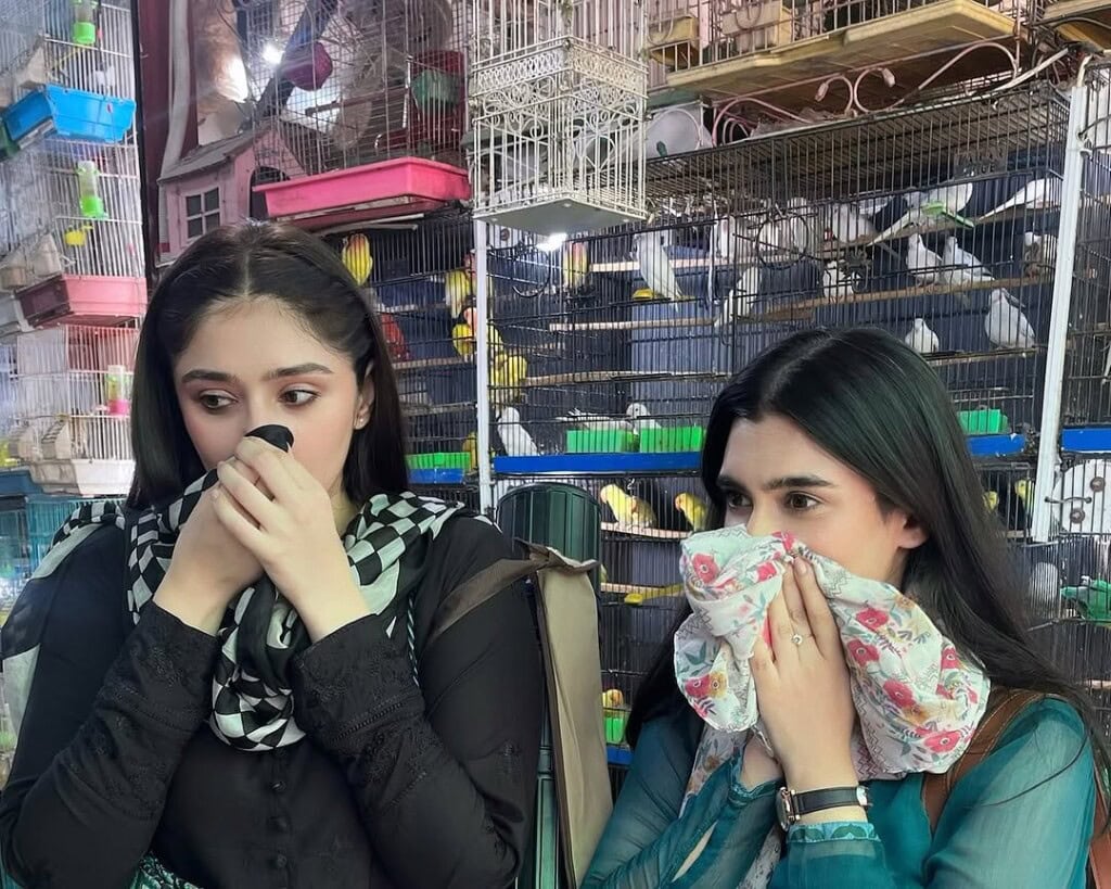 جو سانوال یار پیا سے لبنا ہے