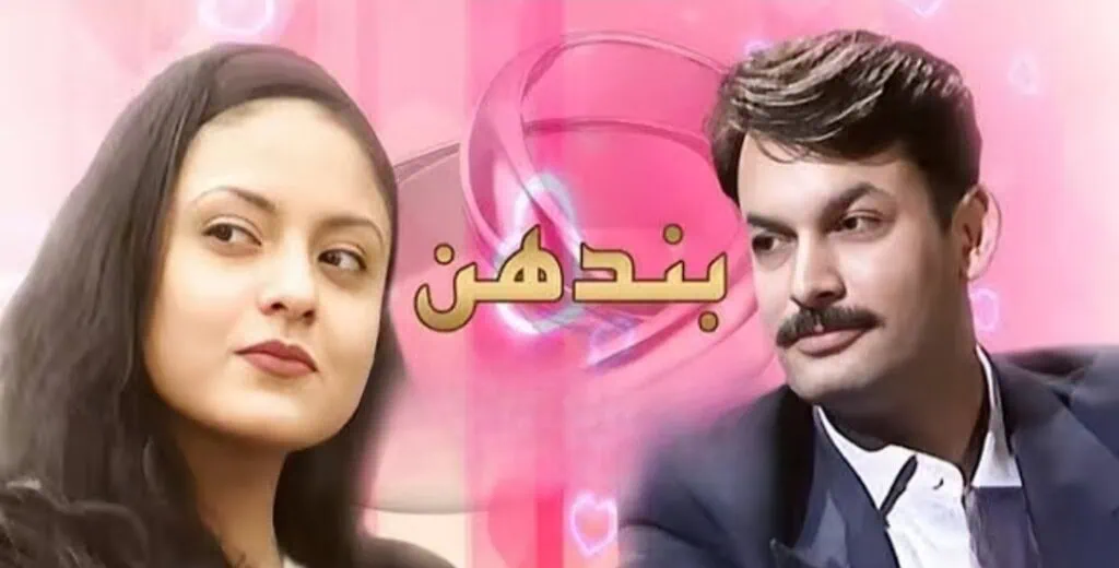 نادیہ خان ٹرولز لیلیٰ جما تقیسیم نادیہ خان ٹرولز لیلیٰ جما تقیسیم