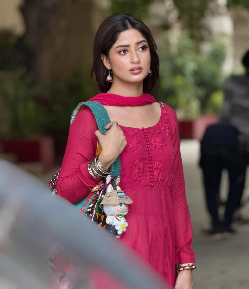 سجل ایلی کے مرکزی مانٹو ناہی ہون شریک اسٹار نے اس کی تعریف کی سجل ایلی کے مرکزی مانٹو ناہی ہون شریک اسٹار نے اس کی تعریف کی