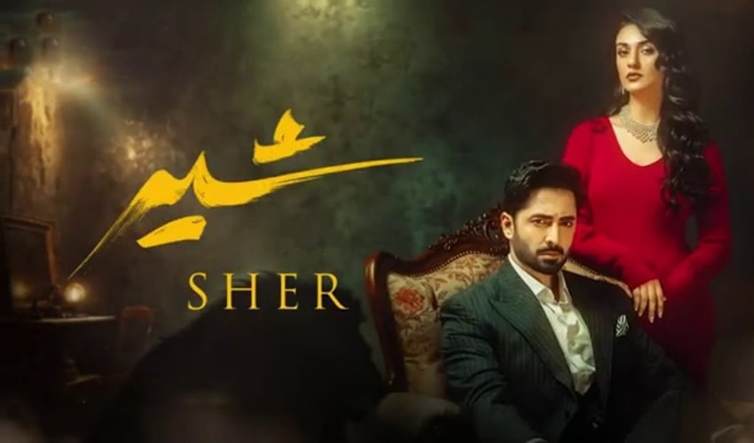 شیر قسط 24 - شیر کنگ سے سمبا کے مقابلے میں شیر کی واپسی