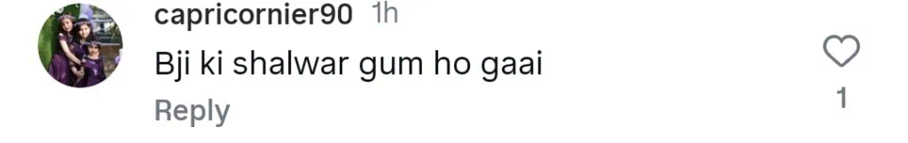 ویانا میں عشنا شاہ کی جرات مندانہ تعطیل تنظیم نے ٹرول کیا