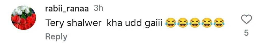ویانا میں عشنا شاہ کی جرات مندانہ تعطیل تنظیم نے ٹرول کیا