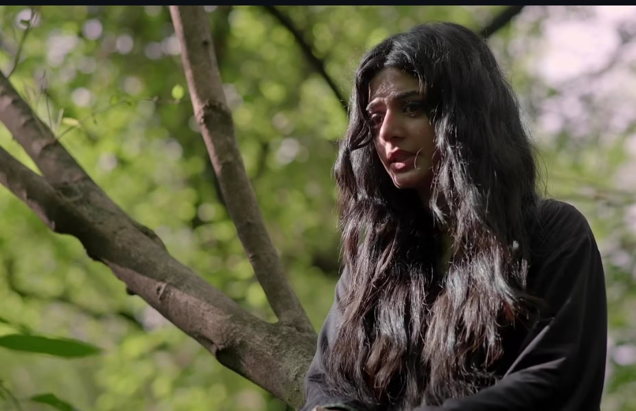 جن اور انسانوں کی شادیوں کے بارے میں جن کی شدھی انکی شدھی مصنف