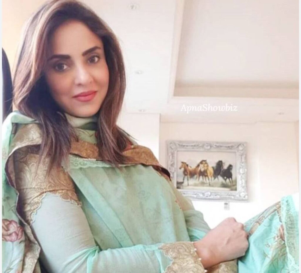 بالی ووڈ کے بین الاقوامی مواد کے جنون پر نادیہ خان