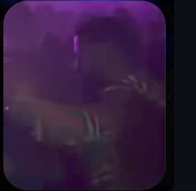 راجاب بٹ کی حالیہ نشے میں کلب کی حالیہ نشے میں ویڈیو نے ردعمل کو جلایا ہے