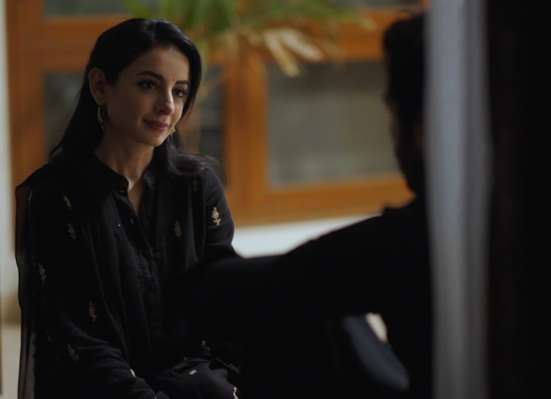 بریانی میں گل مہر کی شکل پیدا کرنے اور ہوسٹنگ چھوڑنے پر سروت گیلانی