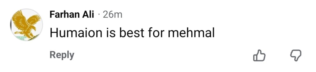 مانٹو آخری واقعہ - شائقین کی توقعات اور پیش گوئیاں