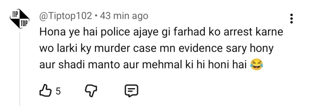 مانٹو آخری واقعہ - شائقین کی توقعات اور پیش گوئیاں