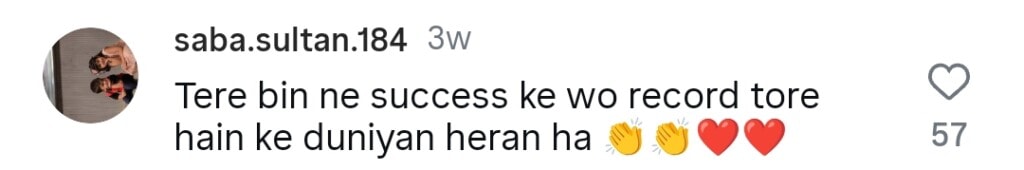 شانی ارشاد نے تیری بن آسٹ کے بالی ووڈ مماثلت پر خاموشی توڑ دی شانی ارشاد نے تیری بن آسٹ کے بالی ووڈ مماثلت پر خاموشی توڑ دی