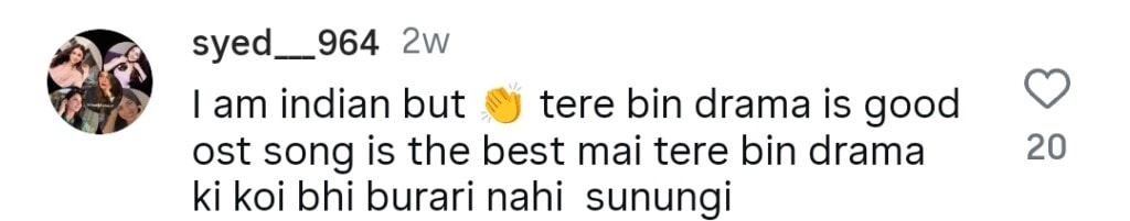 شانی ارشاد نے تیری بن آسٹ کے بالی ووڈ مماثلت پر خاموشی توڑ دی شانی ارشاد نے تیری بن آسٹ کے بالی ووڈ مماثلت پر خاموشی توڑ دی