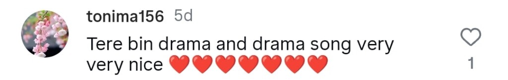 شانی ارشاد نے تیری بن آسٹ کے بالی ووڈ مماثلت پر خاموشی توڑ دی شانی ارشاد نے تیری بن آسٹ کے بالی ووڈ مماثلت پر خاموشی توڑ دی