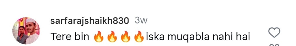 شانی ارشاد نے تیری بن آسٹ کے بالی ووڈ مماثلت پر خاموشی توڑ دی شانی ارشاد نے تیری بن آسٹ کے بالی ووڈ مماثلت پر خاموشی توڑ دی