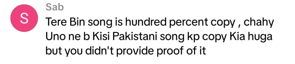شانی ارشاد نے تیری بن آسٹ کے بالی ووڈ مماثلت پر خاموشی توڑ دی شانی ارشاد نے تیری بن آسٹ کے بالی ووڈ مماثلت پر خاموشی توڑ دی
