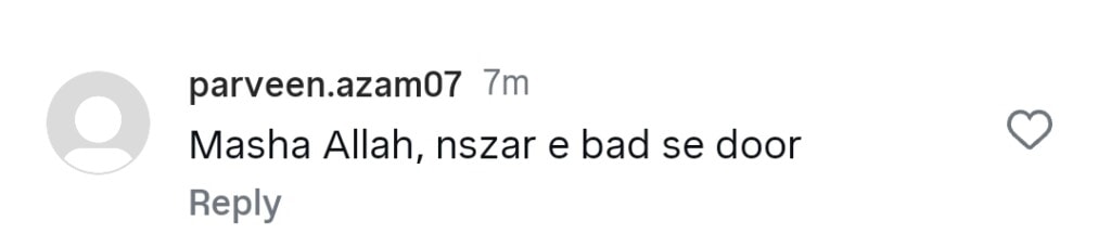 شوہر کے ساتھ نیلم منیر ویڈیوز کی تعریف ہوتی ہے