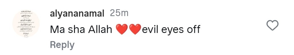 شوہر کے ساتھ نیلم منیر ویڈیوز کی تعریف ہوتی ہے