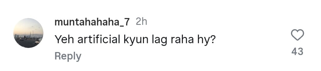 ڈاکٹر نبیہا کی شادی کی نظر مصنوعی زیورات پر مداحوں کو تقسیم کرتی ہے ڈاکٹر نبیہا کی شادی کی نظر مصنوعی زیورات پر مداحوں کو تقسیم کرتی ہے