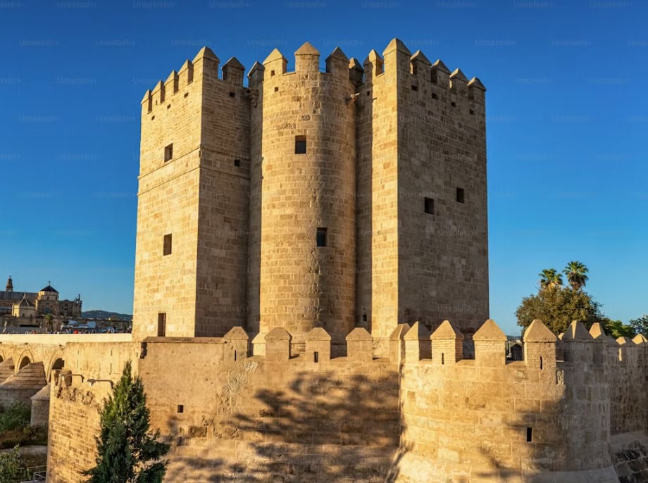 ڈاکٹر نبیہا علی خان نے ہنیمون کے منصوبوں کا اشتراک کیا